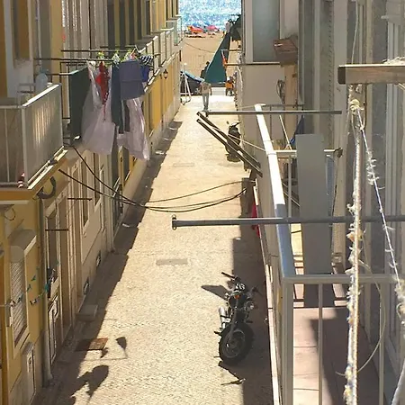 The Breeze - By Silver Prop *